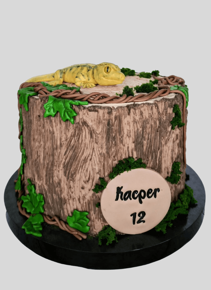 Slightly Lizard Cake