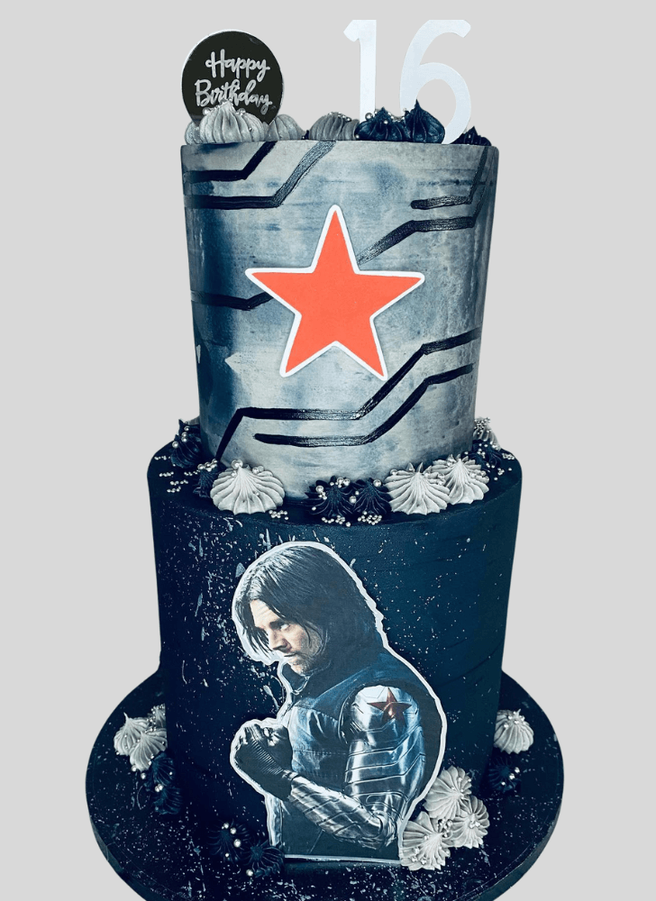 Delightful Winter Soldier Cake