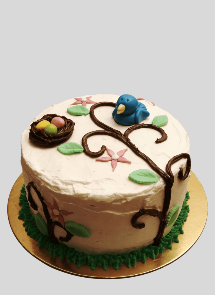 Alluring Bird Nest Cake