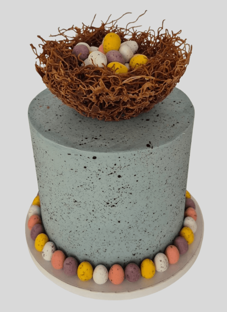 Beauteous Bird Nest Cake