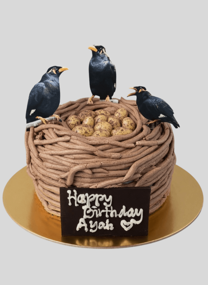 Bewitching Bird Nest Cake