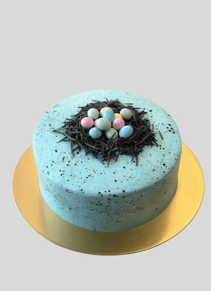 Classy Bird Nest Cake