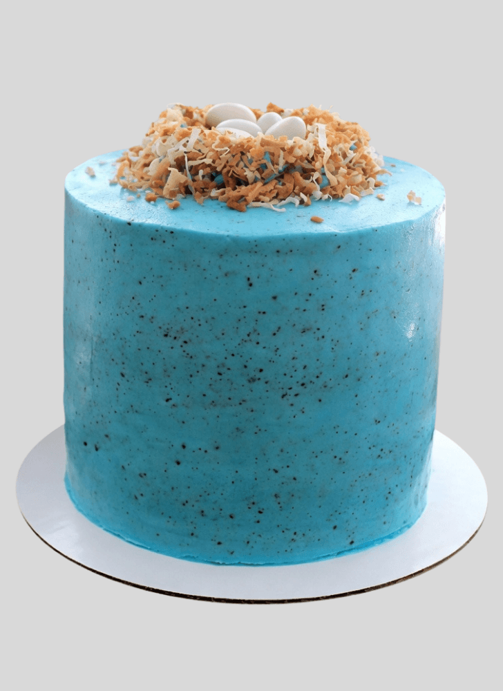 Comely Bird Nest Cake