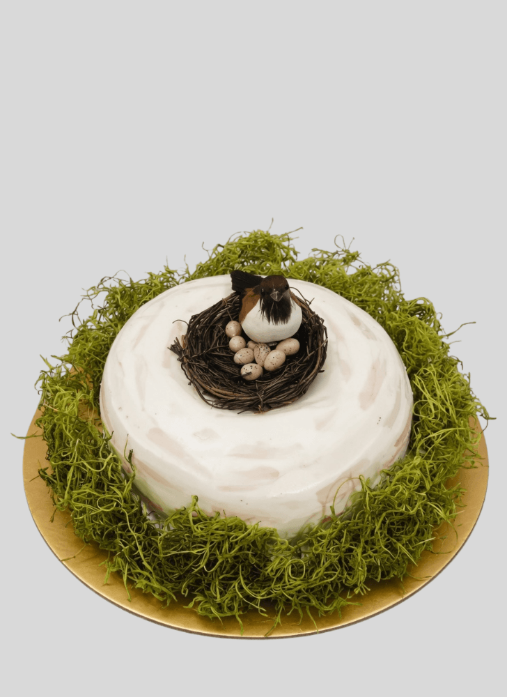 Cute Bird Nest Cake