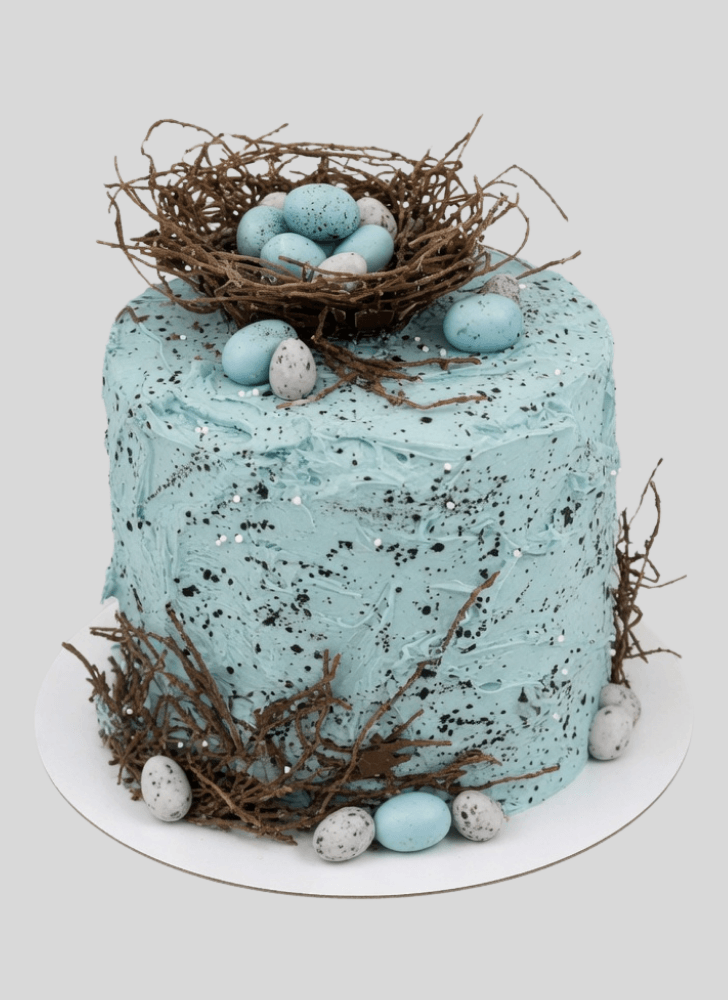Dazzling Bird Nest Cake
