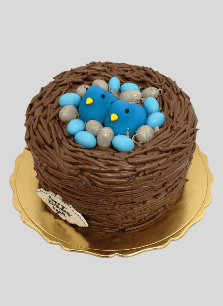 Delicate Bird Nest Cake