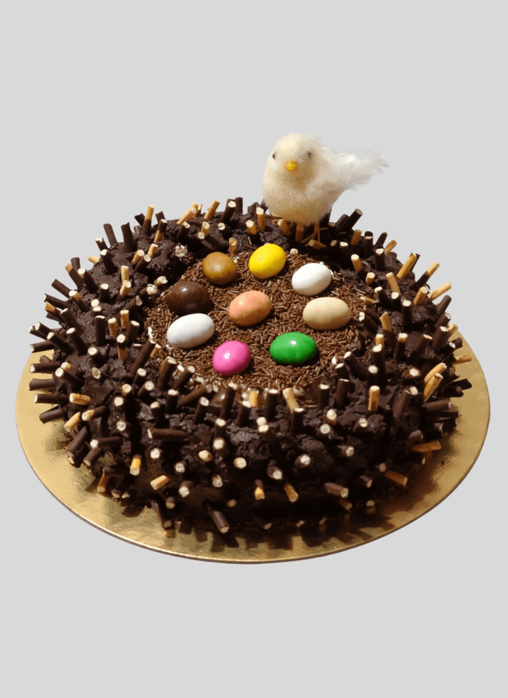 Enticing Bird Nest Cake