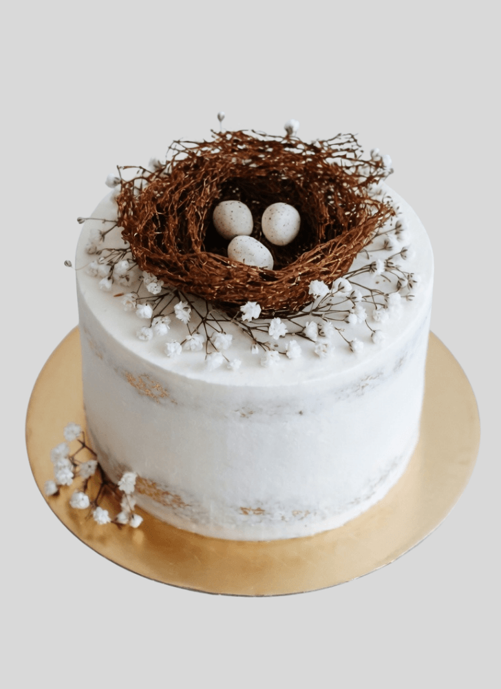 Fetching Bird Nest Cake