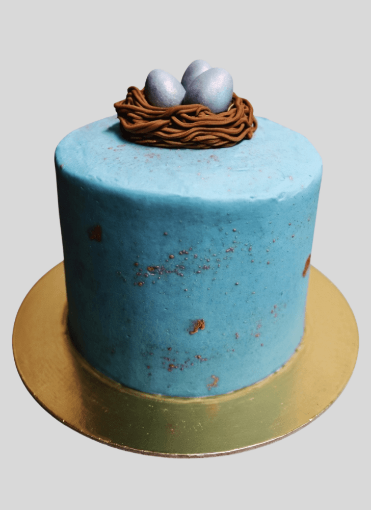 Marvelous Bird Nest Cake