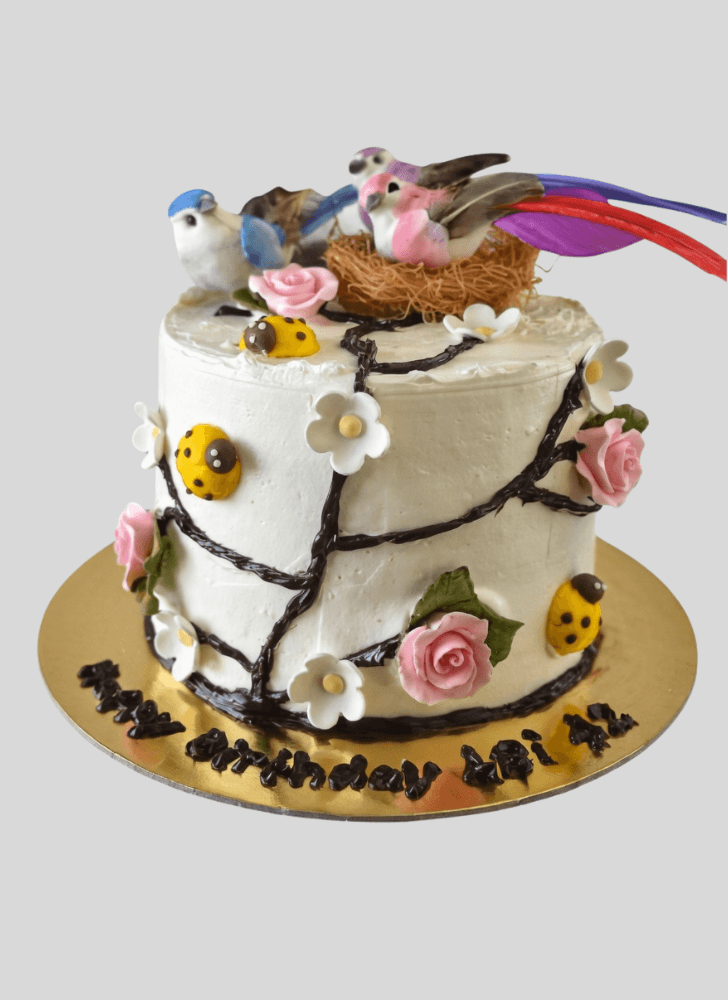 Pleasing Bird Nest Cake