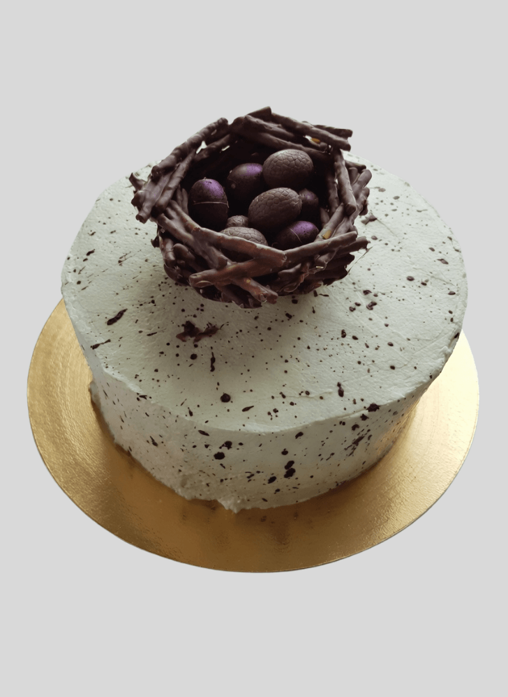 Pretty Bird Nest Cake