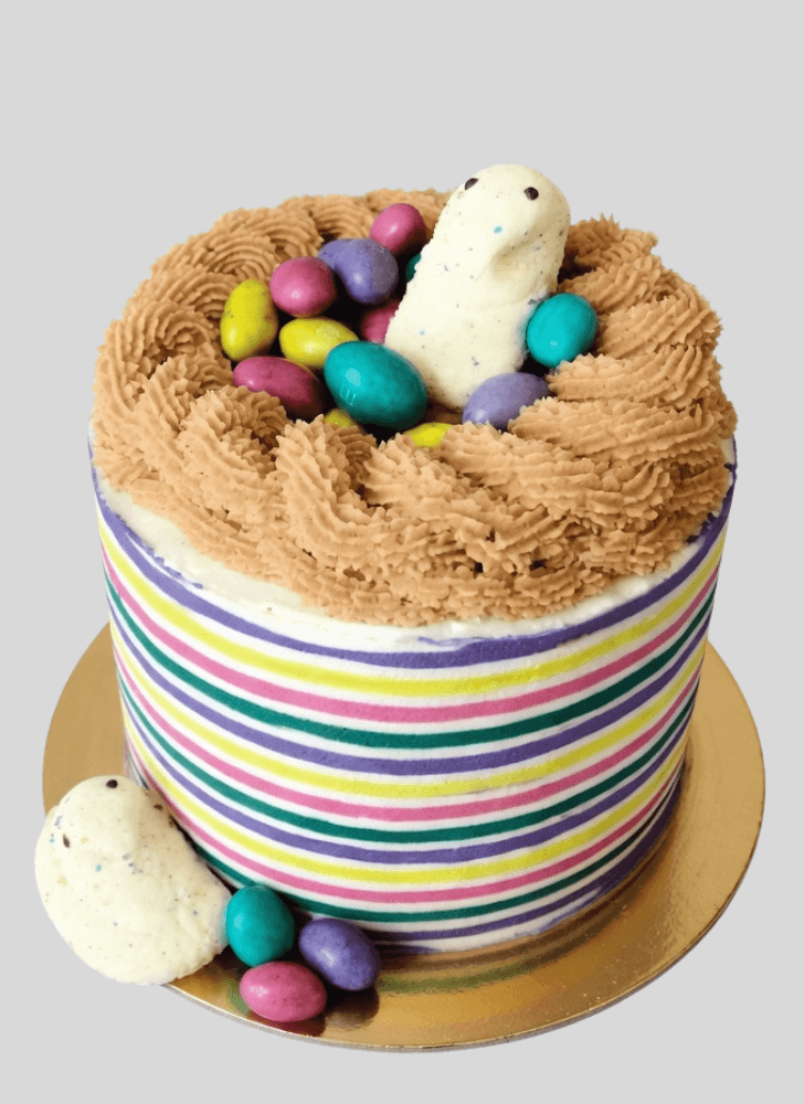 Shapely Bird Nest Cake