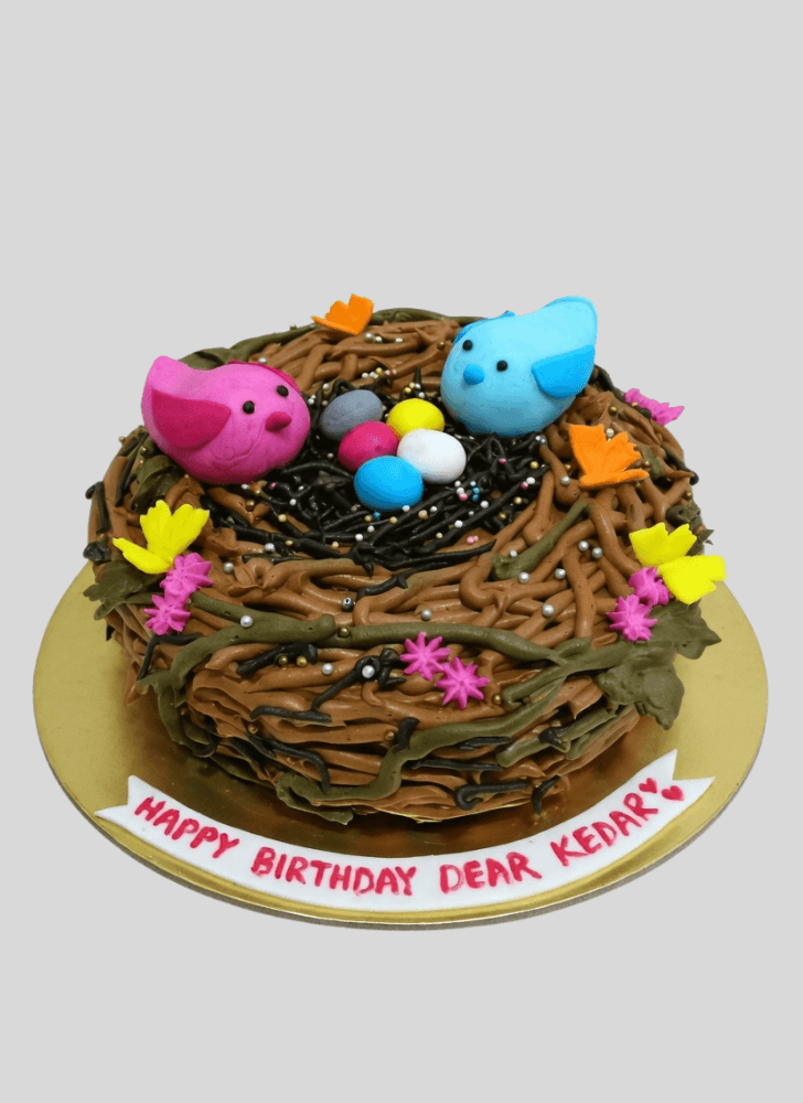 Splendid Bird Nest Cake