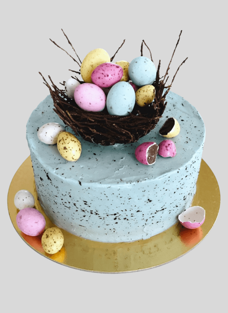 Stunning Bird Nest Cake