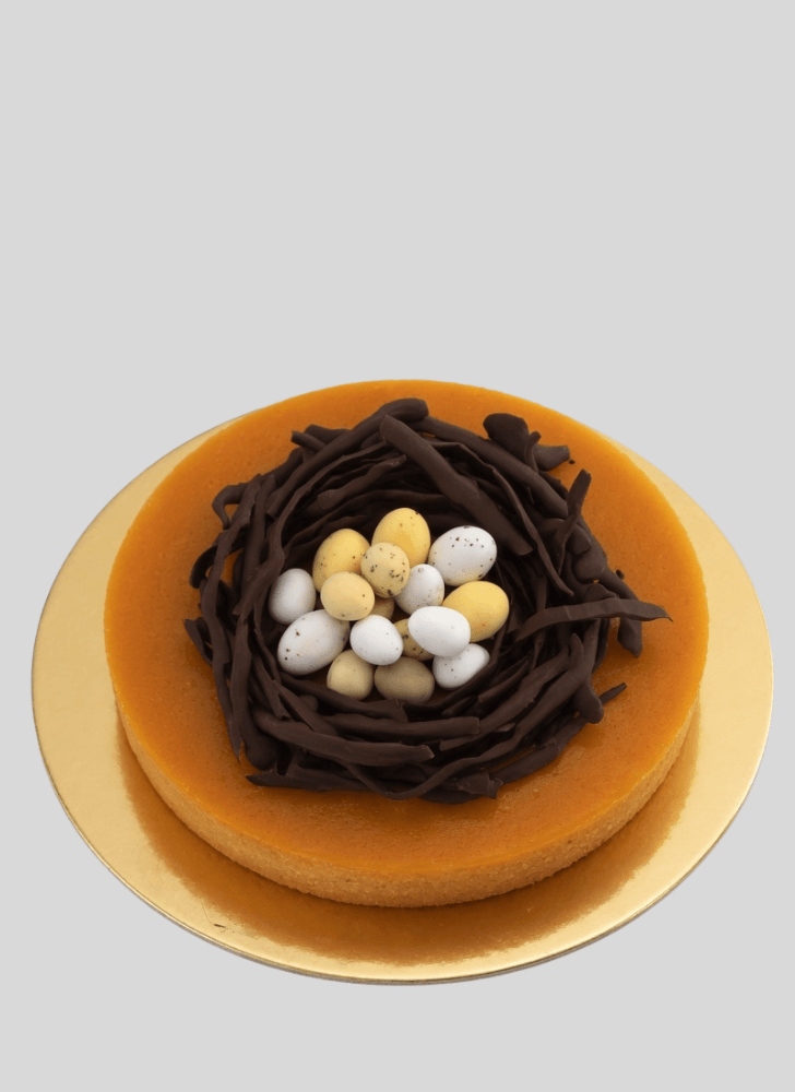 Superb Bird Nest Cake