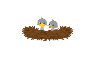 Bird Nest