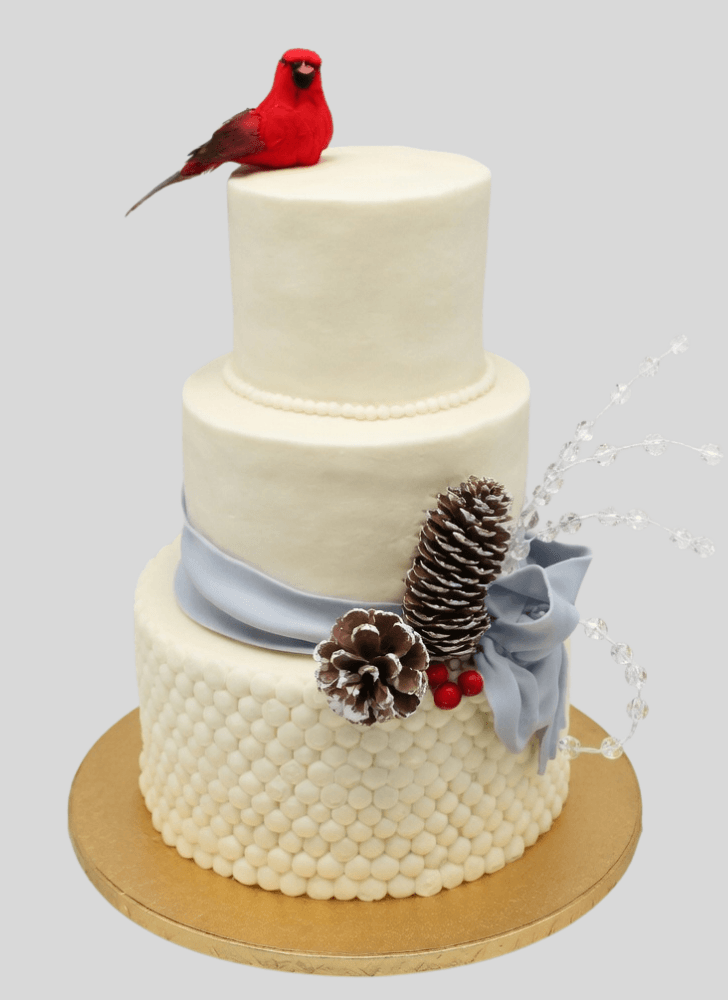 Delightful Cardinal Cake