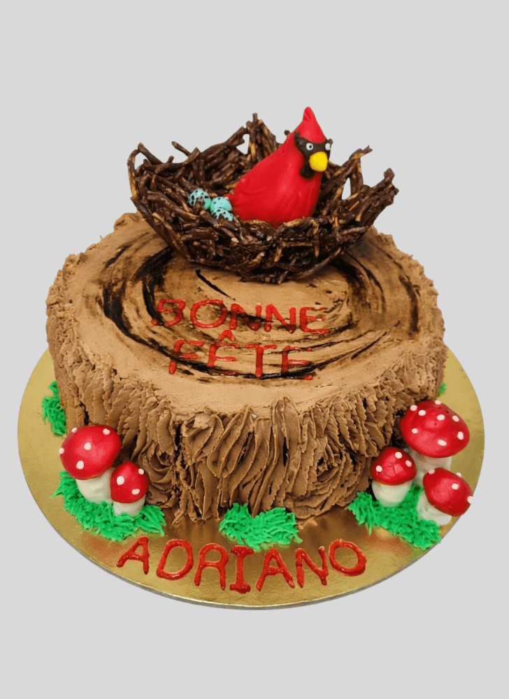 Enticing Cardinal Cake