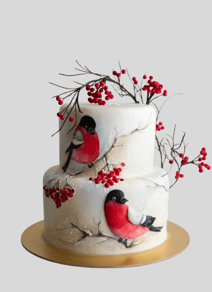 Fascinating Cardinal Cake