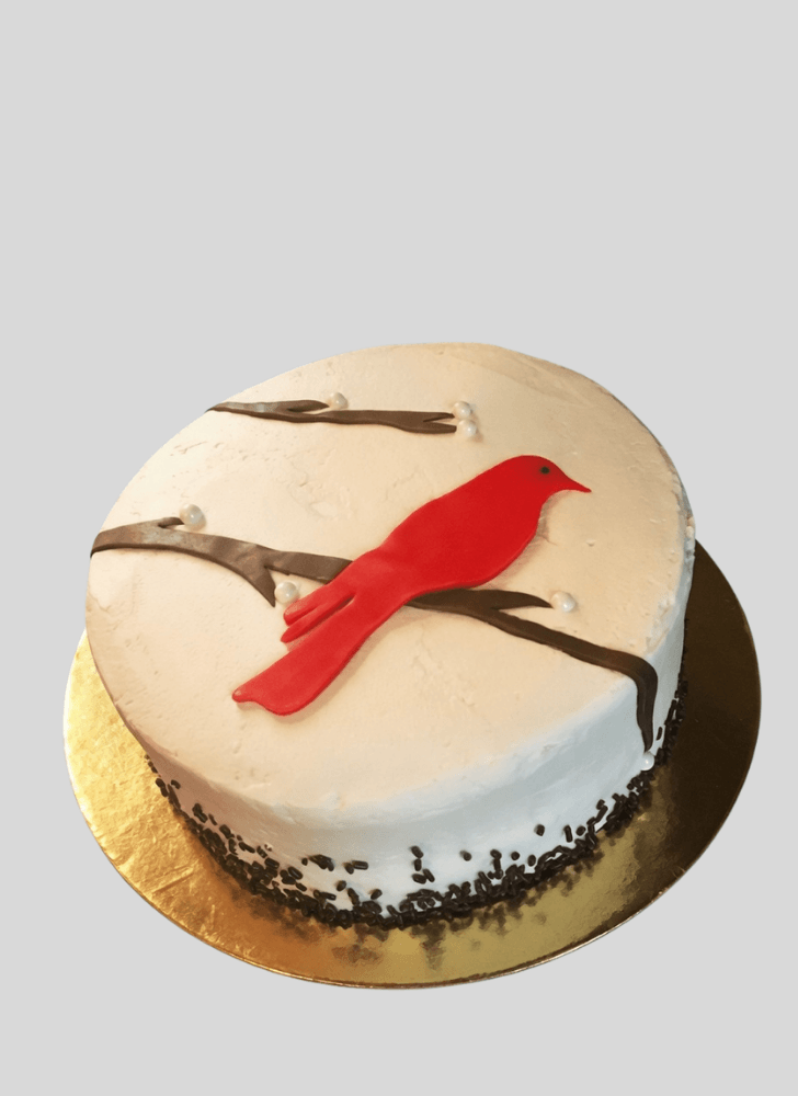 Good Looking Cardinal Cake