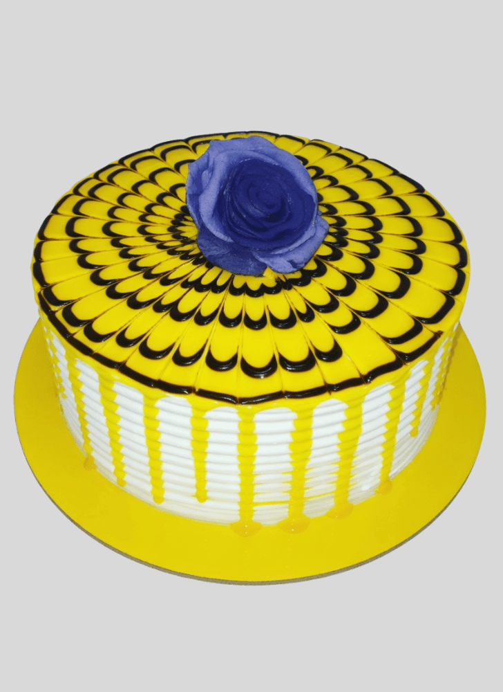 Bewitching Gel Cake