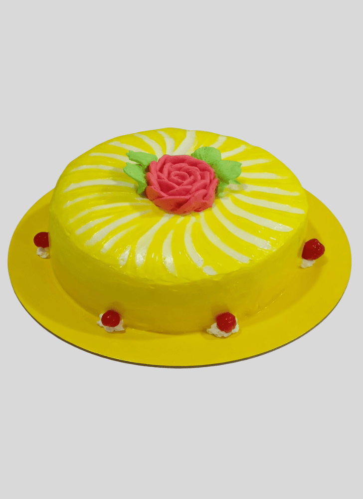Magnetic Gel Cake