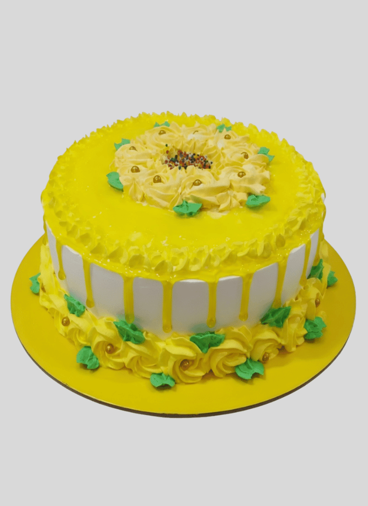 Refined Gel Cake