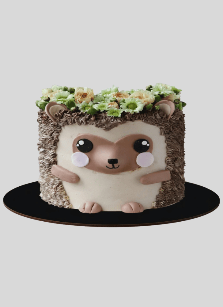 Classy Hedgehog Cake