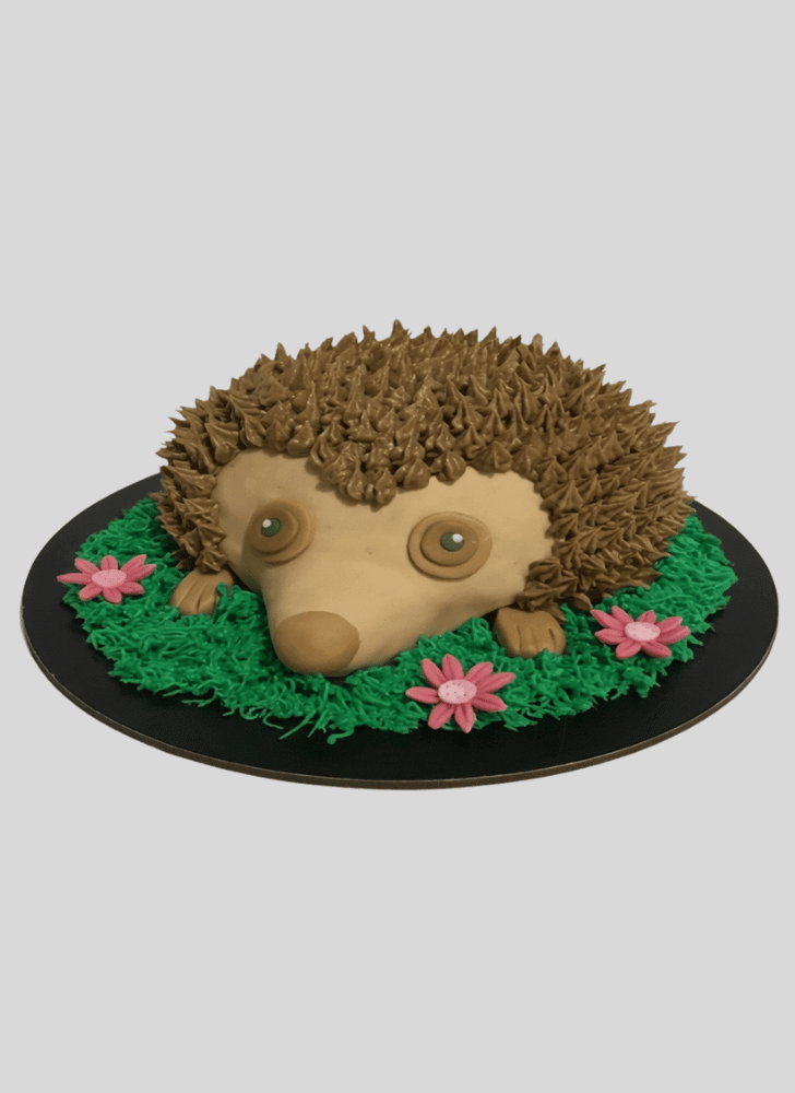 Comely Hedgehog Cake