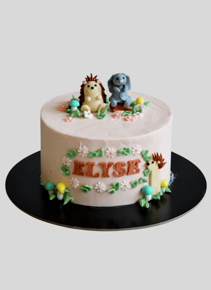 Dazzling Hedgehog Cake