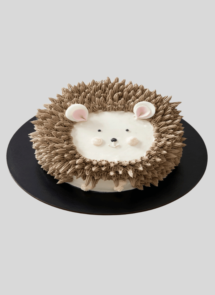 Delicate Hedgehog Cake