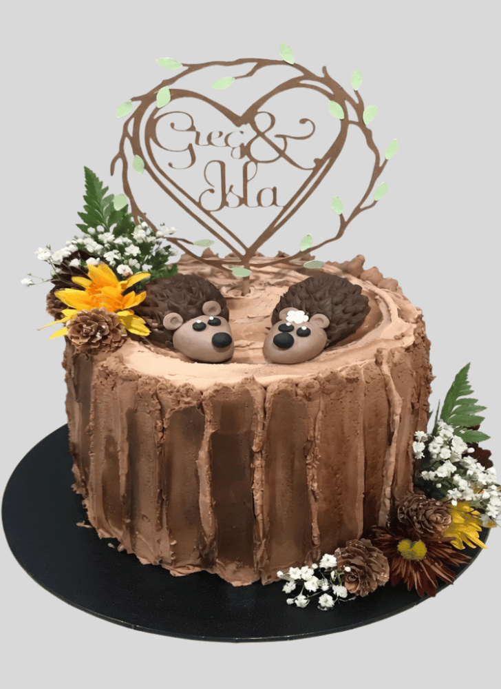 Elegant Hedgehog Cake