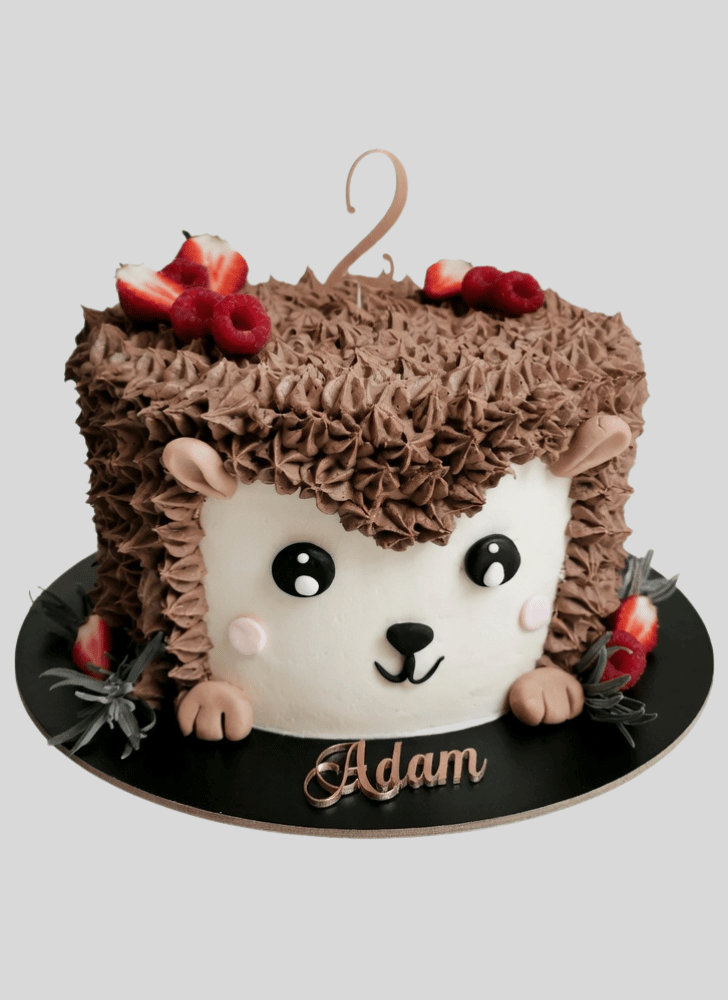 Enthralling Hedgehog Cake