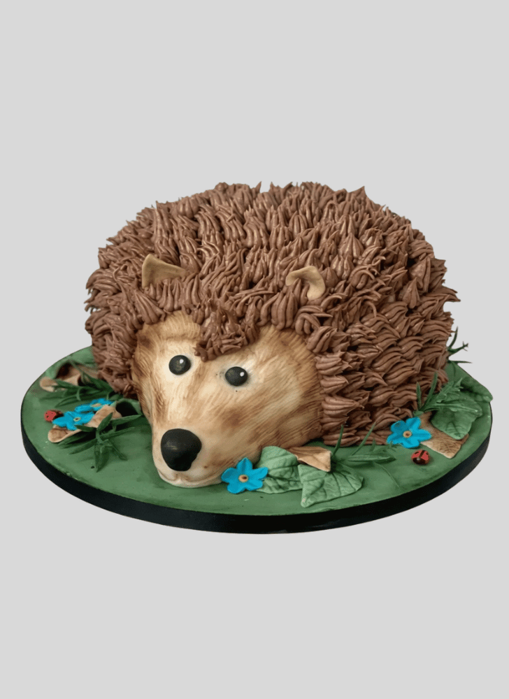 Exquisite Hedgehog Cake