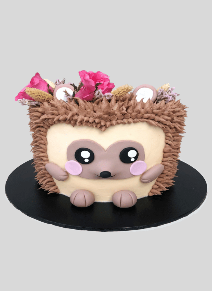 Fair Hedgehog Cake