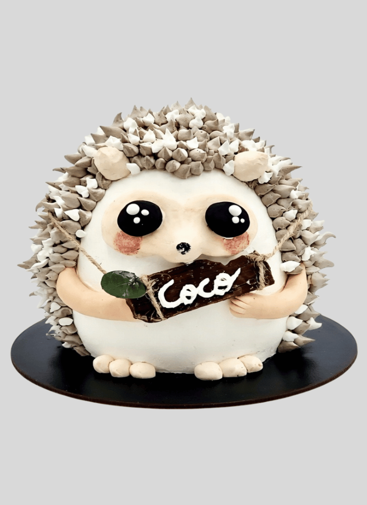 Good Looking Hedgehog Cake