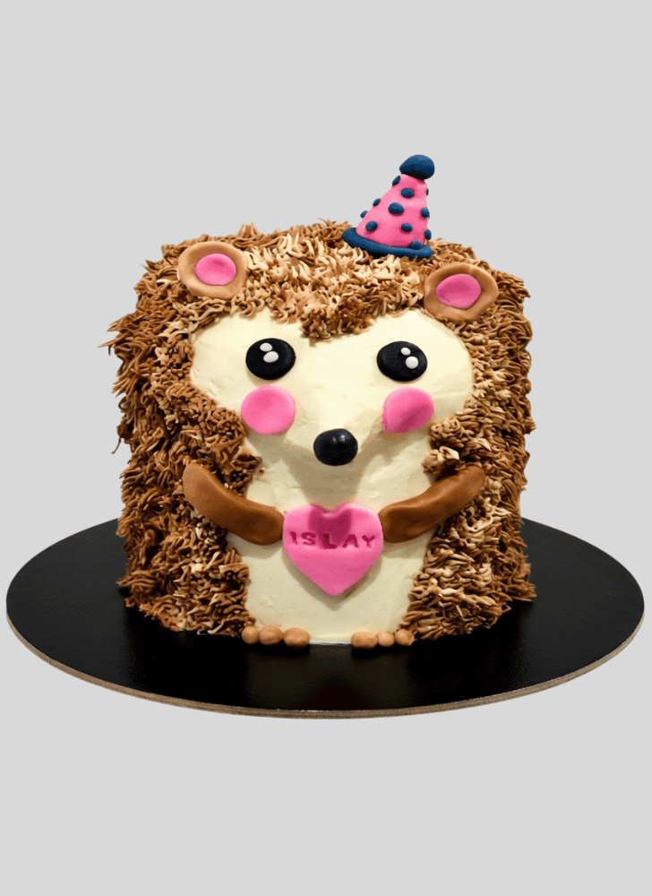 Handsome Hedgehog Cake