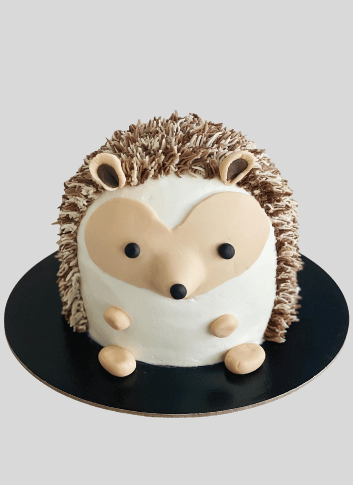 Inviting Hedgehog Cake