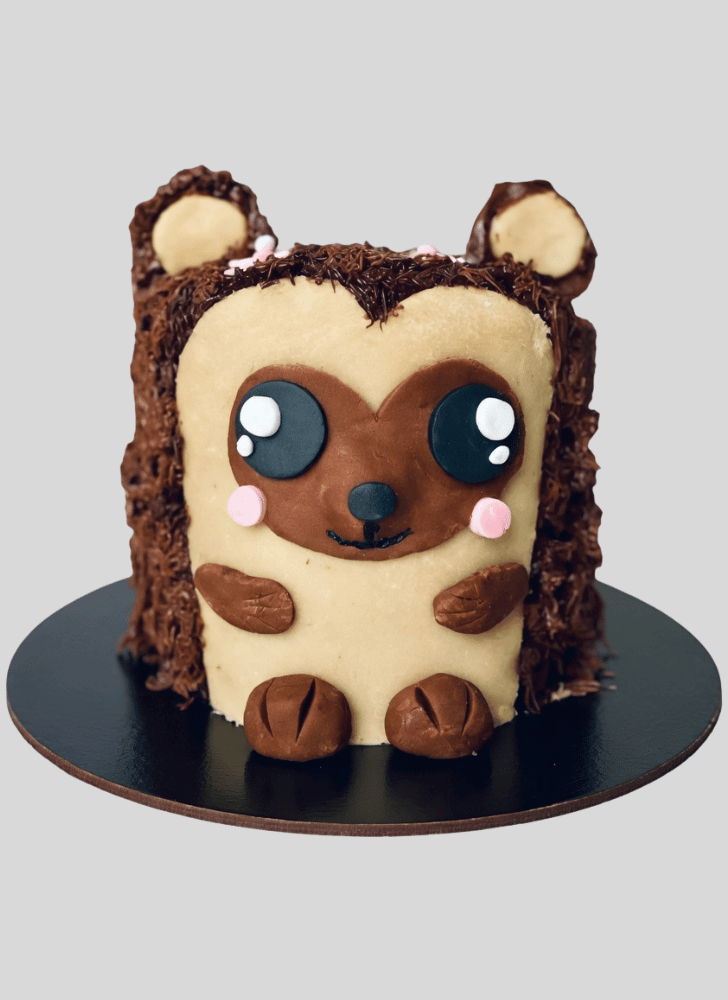 Magnetic Hedgehog Cake