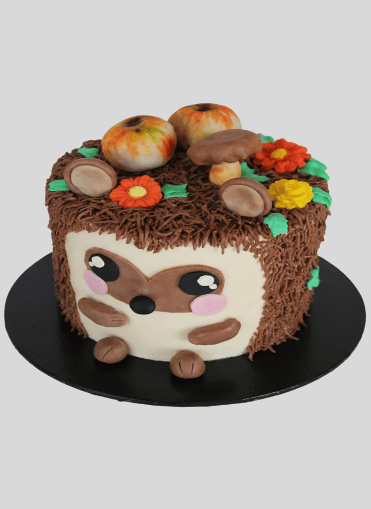 Mesmeric Hedgehog Cake