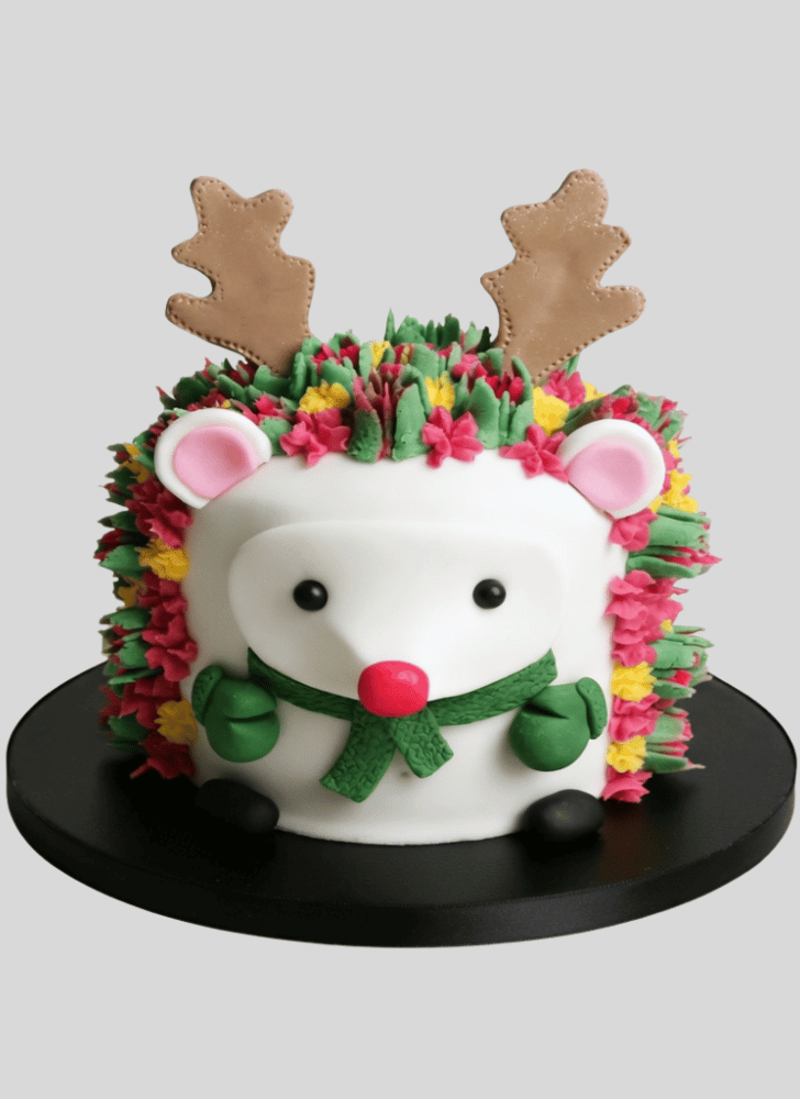 Radiant Hedgehog Cake