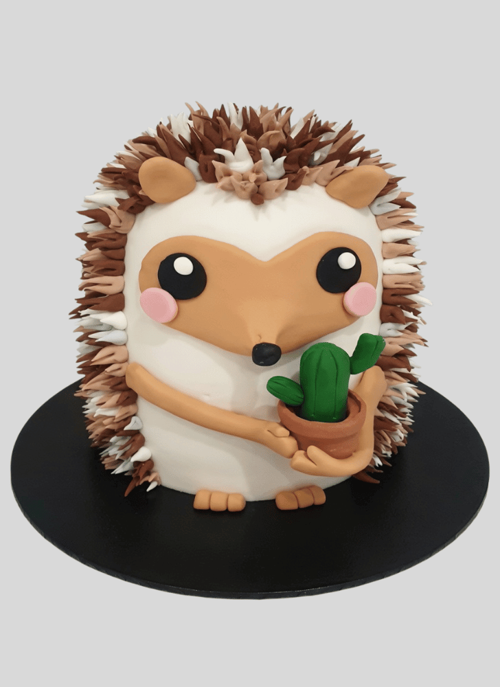 Resplendent Hedgehog Cake