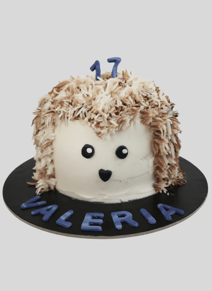 Shapely Hedgehog Cake