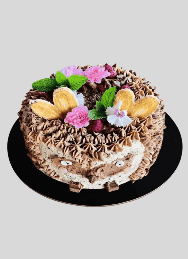 Slightly Hedgehog Cake