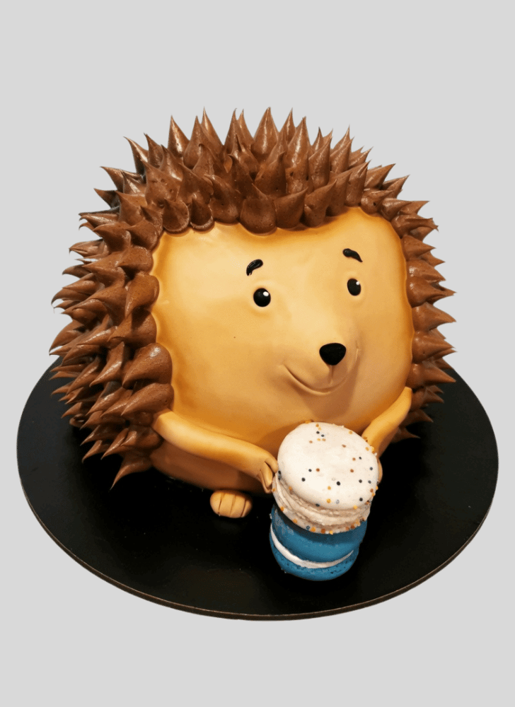 Stunning Hedgehog Cake