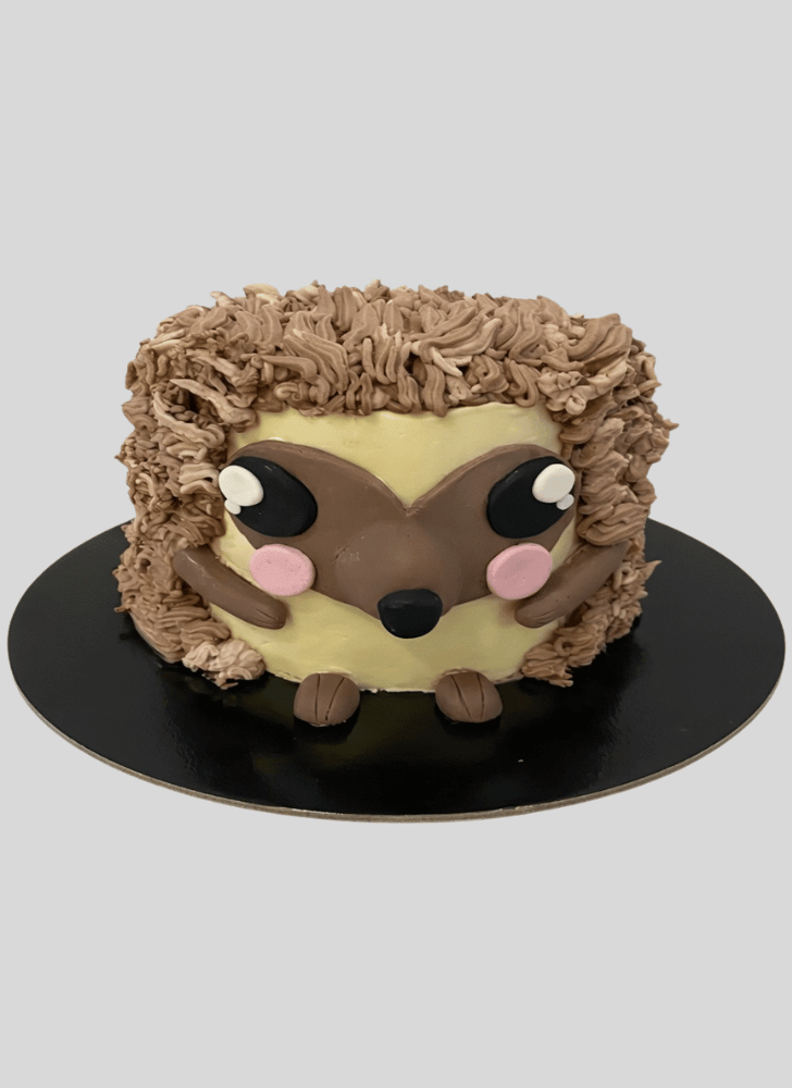 Superb Hedgehog Cake