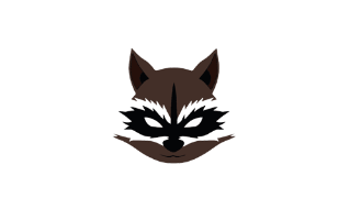 Rocket Raccoon
