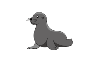 Sea Lion