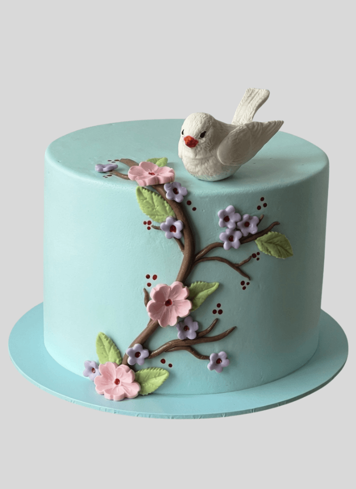 Dazzling Sparrow Cake