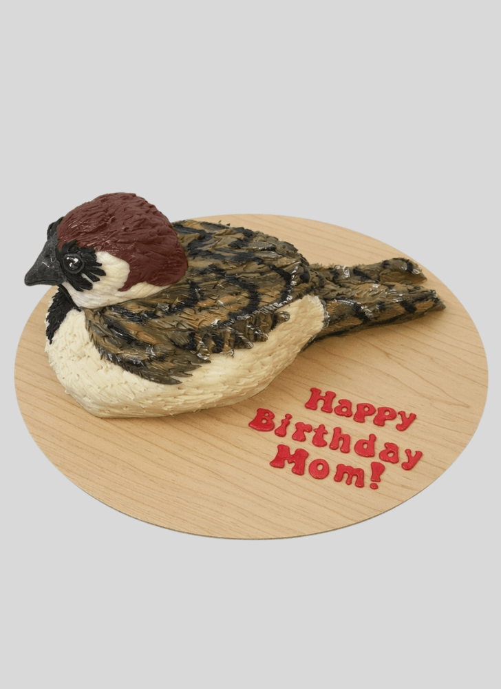 Magnetic Sparrow Cake